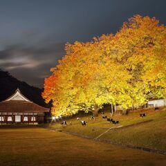 【岡山県備前市】特別史跡旧閑谷学校・紅葉ライトアップ【１１月２日...