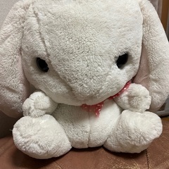 ウサギぬいぐるみ差し上げます。