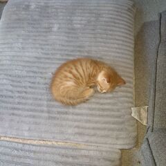 生後1か月
