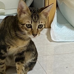 なつくん　5ヶ月の男の子
