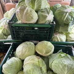 販売開始しました❗️