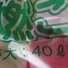 長野市指定ゴミ袋　8袋の画像
