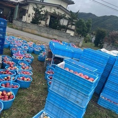 シナノスイート残りわずか！の画像