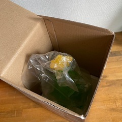 雑貨　不用品　無料でお譲りします。の画像