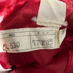 ワインレッドのゴージャスドレス７号の画像