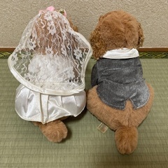 ウェルカムドール　犬　ぬいぐるみ　ウェディング　結婚式の画像