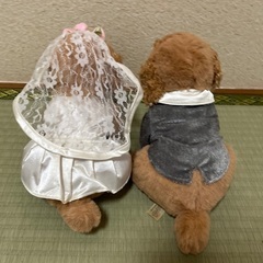 ウェルカムドール　犬　ぬいぐるみ　ウェディング　結婚式の画像