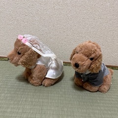 ウェルカムドール　犬　ぬいぐるみ　ウェディング　結婚式の画像