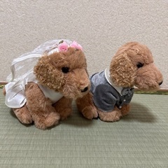 ウェルカムドール　犬　ぬいぐるみ　ウェディング　結婚式の画像