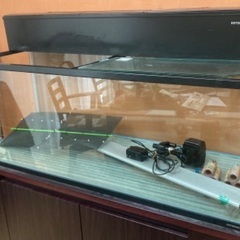 G10 美品！ 白川木工 特注品 オーダーメイド コレクション棚