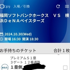 日本シリーズ　　PayPayドーム　10/30  本日分
