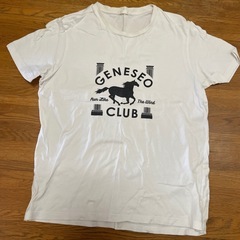 レディースTシャツ