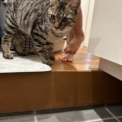 新しいお家で過ごしてます。