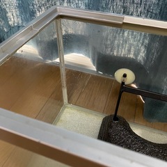 お譲りします‼️ 水槽　浮き島付きの画像