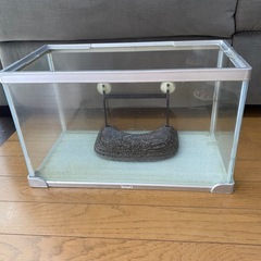 お譲りします‼️ 水槽　浮き島付きの画像
