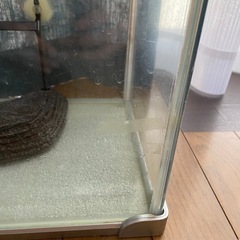 お譲りします‼️ 水槽　浮き島付きの画像