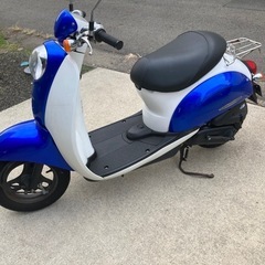 ホンダクレアスクーピーの画像