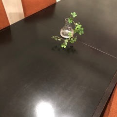 【ボーコンセプト】伸縮ダイニングテーブル＆チェアーセットの画像