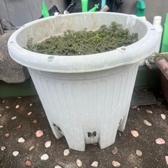 植木鉢