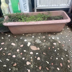 植木鉢