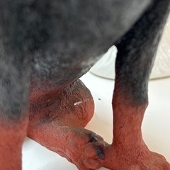犬のオブジェ 高さ約21cmの画像