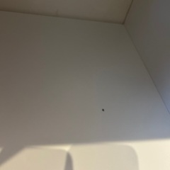 IKEA リビング収納(決まりましたm(_ _)m)の画像