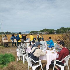『れんこん畑みちあるきとれんこん掘り体験&ホテルランチ』 − 茨城県