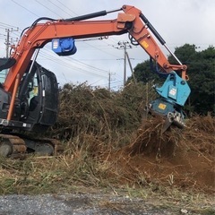 茨城県鉾田市、鹿島市、行方市、潮来市どんな木でも伐採いたします。 - 剪定/造園