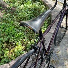 FUJI フェザー シングルスピード 43cm Matte Purpleの画像