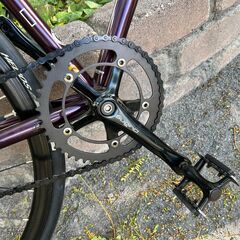 FUJI フェザー シングルスピード 43cm Matte Purpleの画像