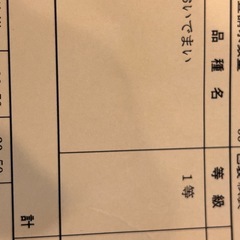 R6新米　一等米　おいでまい10kg5000円残り2袋