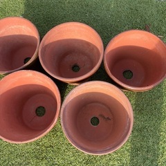 植木鉢　　大の画像