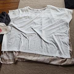 Tシャツの画像