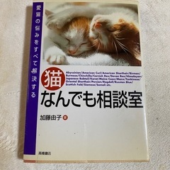 猫なんでも相談室