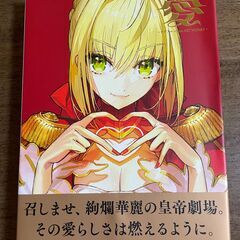 愛 -ワダアルコ Fate ART WORKS-