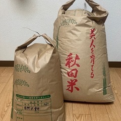 令和6年産 秋田県産あきたこまち玄米30kg+もち米10kg