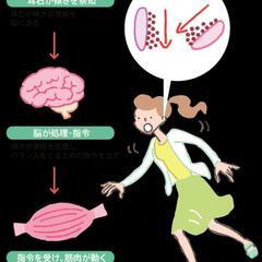 📒まえトレReal雑談＃８📒　　『フラつき、猫背』の話