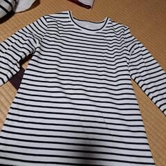 薄手のトレーナーボーダーの画像
