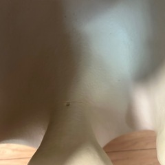 バンボ　ベージュ　赤ちゃん　椅子　ベビーチェアの画像