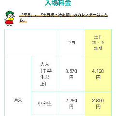 スパリゾートハワイアンズのチケットの画像