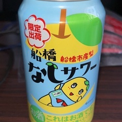 フラットケーブル（厚さ0.3㎜の延長コード）の画像
