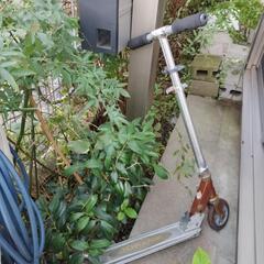 キックボードの画像