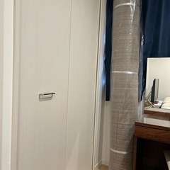 アクセントラグ　の画像