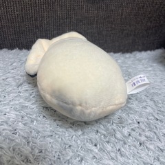 かきちゃんの画像