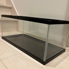 水槽（中古）＋メンテスポイト（新品）＋ジクラウォーター（中古）