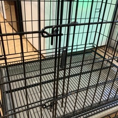 ペットゲージ　リサイクルショップ宮崎屋　佐土原店　25.8.14Fの画像