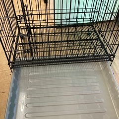ペットゲージ　リサイクルショップ宮崎屋　佐土原店　25.8.14Fの画像