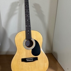 Martin Smithのアコースティックギター