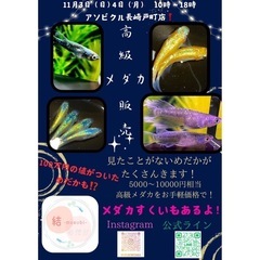 アソビクル長崎戸町店にて出店決定❗️
