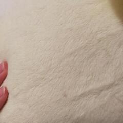 ポムポムプリン　かなりでかいぬいぐるみの画像